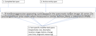 Toward Complete Structured Information Extraction From Radiology Reports Using Machine Learning Springerlink