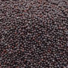 Alternative spelling of raï (musical style). Buy Bb Royal Mustard Rai Big 100 Gm Online At Best Price Bigbasket