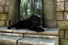 Arti Mimpi Macan Kumbang Hitam Mystical Cat Cats Mountain Lion
