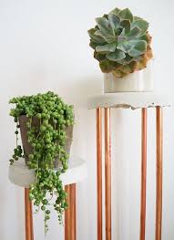 This tall diy plant shelf is made from 2×4 pieces of lumber and can hold several houseplants. 35 Captivating Diy Plant Stand Ideas You Must Try