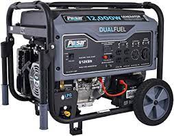 Look for those options as well. Amazon Com Pulsar G12kbn Heavy Duty Portable Dual Fuel Generator 9500 Rated Watts 12000 Peak Watts Gas Lpg Electric Start Transfer Switch Rv Ready Carb Compliant Patio Lawn Garden