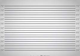 Free Stock Vector Mugshot Background 364989 Mugshot Background Mug Shots Paisley Background