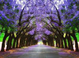 [Hình: images?q=tbn:ANd9GcQ0R71S__e18DiXZ8YxgjG...A&usqp=CAU]