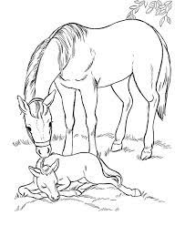 pin by linda bouchard on licornes horse coloring pages farm animal coloriage de vache