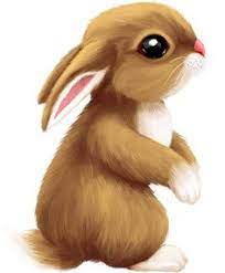 Planse de colorat pentru paste iepurasul picteaza oua. 100 IepuraÈ™i Ideas IepuraÈ™i Chinchilla Chihuahua