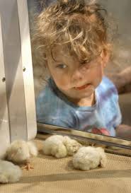 Oklahoma State Fair Centennial Expo 9/13/07