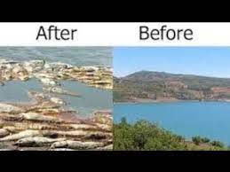 Air menyusut dari waktu ke waktu sumber gambar. Kondisi Terkini Danau Tiberias Israel 2018 Tanda Tanda Kemunculan Al Masih Ad Dajjal Youtube