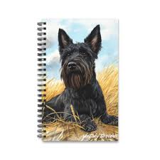 Image result for skotský teriér