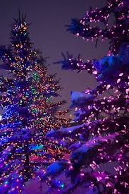 Coffeepearlsandpoetry Purple Christmas Christmas Lights Beautiful Christmas