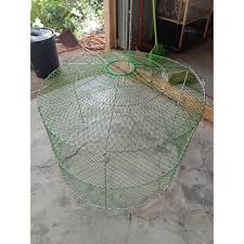 We did not find results for: Paling Laris Perkup Selapis Ayam Hutan Ayam Baik Ayam Kampung Reban 3 5kaki Pets Cage Reban Ayam Shopee Malaysia