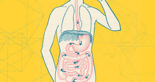 Signs Your Gut Is Unhealthy And Why You Should Fix It