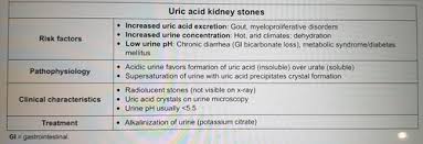 Step 2 Renal Flashcards Quizlet