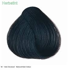 Herbatint Ash Chestnut 4c Hair Color