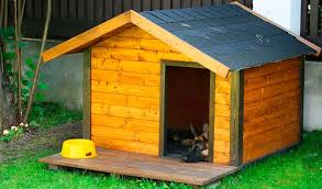 Casa para perro iglu grande cdmx cotizar envio. Casetas Para Perros Grandes El Blog Energia