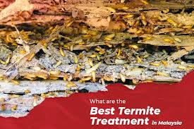 Pest control services provider in pune & pimpri chinchwad. Pest Control Service Provider In Selangor Malaysia