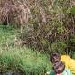 Nature Days at Columbia Springs