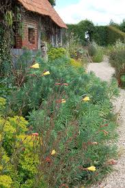 Le Jardin Plume Avec Images Jardins Exterieur Vivaces