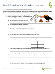 This series of worksheets keys in on the prediction of. Mendelian Genetics Worksheet Genotype Dominance Genetics