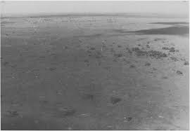 Image result for Rhamphicarpa brevipedicellata