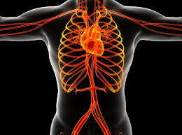An aneurysm is an outward bulging, likened to a bubble or balloon, caused by a localized, abnormal, weak spot on a blood vessel wall. Que Es Un Aneurisma Cirugia Cardiovascular Sevilla Dr Gomez Vidal