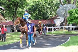 Welcome to the official football association of sarawak website. Horse Racing Resumes After Hiatus The Star