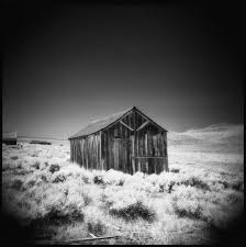 Holga 120n Efke Ir820 Hoya R72 Infrared Filter Pinhole Photography Holga Photography Techniques