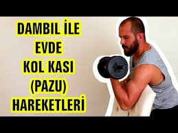 Dambil Ile Evde Kol Kasi Pazu Hareketleri Youtube Kol Kaslari Koltuklar Egzersiz Videolari