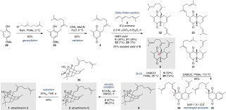 Total Synthesis of Atrachinenins A and B | Journal of the American Chemical  Society