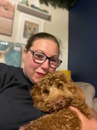 Lost dog found in Snyder County