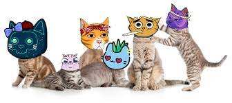 Cutest Cat Pfp Nfts To Furr Up Your Portfolio Airdropalert