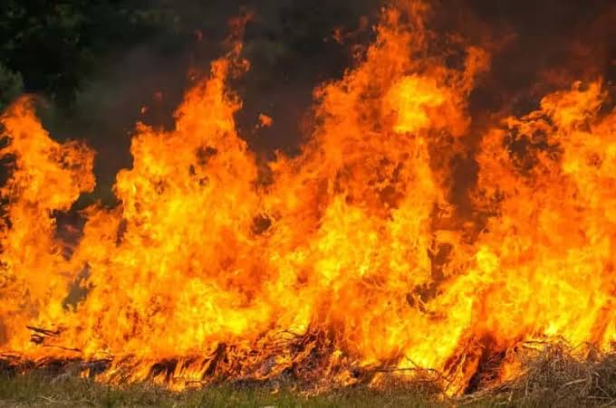 হাওড়ার ধুলাগড়ে ভয়াবহ অগ্নিকাণ্ড, তারের কারখানার জ্বালানি ট্যাঙ্কে আগুন | Massive Fire at Howrah's Dhulagarh, Fuel Tank of Wire Factory Ablaze