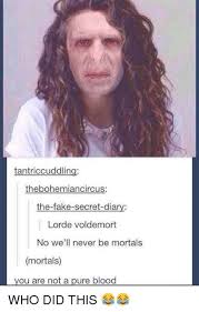 Share the best gifs now >>>. Lorde Memes