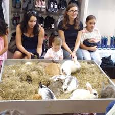 My little pony party ideas and inspirations. Farmer Paul S Mobile Pets And Pony Rides Party Event Planning 76 Helena Street Auckland New Zealand Phone Number Yelp