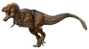 Paleontologists Have Discovered The World S Biggest And Longest Lived T Rex It Weighed Almost 20 000 Pounds Tyrannosaurus Tyrannosaurus Rex Dinosaur