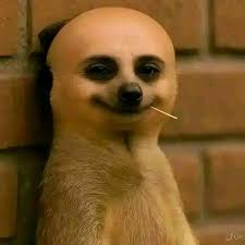 Drake: "Hating Drake doesn't make you deep"