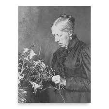 Image result for Gerardiina