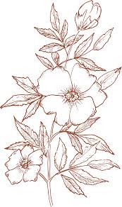 Marivel Ortiz and Emilio Ortiz's Wedding Website