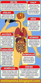 10367786 1554674311431204 6293781542655019990 N Jpg 510 1013 Saglik Saglikli Yasam Tarzi Dogal Saglik