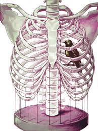 | # rib cage png & psd images. Free Png Download Rib Cage Bird Cage Png Images Background Rib Cage Bird Cage Transparent Png Full Size Transparent Png For Free 81994 Pngix