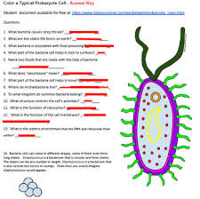 Concepts in this video can be found in our newer video: Color A Typical Prokaryote Cell Answer Key By Biologycorner Tpt