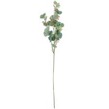 Eucalyptus Stem | Hobby Lobby | 1397090