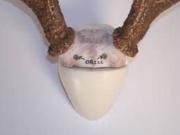 This is the proper way to mount antlers. Antler Mounting Instructions