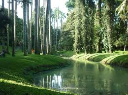 Taman cattleya sebetulnya sudah ada sejak dulu. Taman Langsat Sejarah Spot Foto Fasilitas Alamat Htm