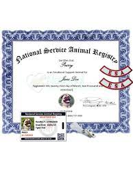 Maybe you would like to learn more about one of these? Nsar Easy Esa Certification Low Cost Registry