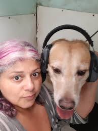 Dog training requires effort from both dog and owner