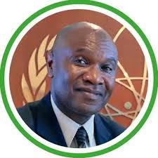 Nuclear Power Will Address Energy Poverty In Africa -Enobot