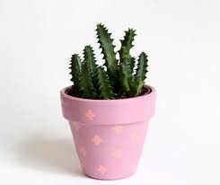 Según otro trabajo de los expertos de los laboratorios bioserae, el cactus reduce las posibilidades de engordar en un 20. Macetas Para Cactus