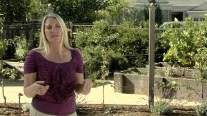 One of the main reasons i fell in love with gardening was that it offered the opportunity to grow my own fruit. Raised Bed Gardens Espaliered Fruit Trees Youtube