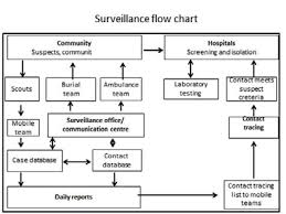 Surveillance Flow Chart For Community Cases Detection And Isolation Download Scientific Diagram