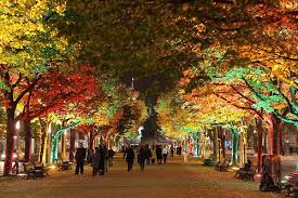 0005 Unter Den Linden Festival Of Lights 2010 Festival Lights Landscape Lighting Design Landscape Lighting